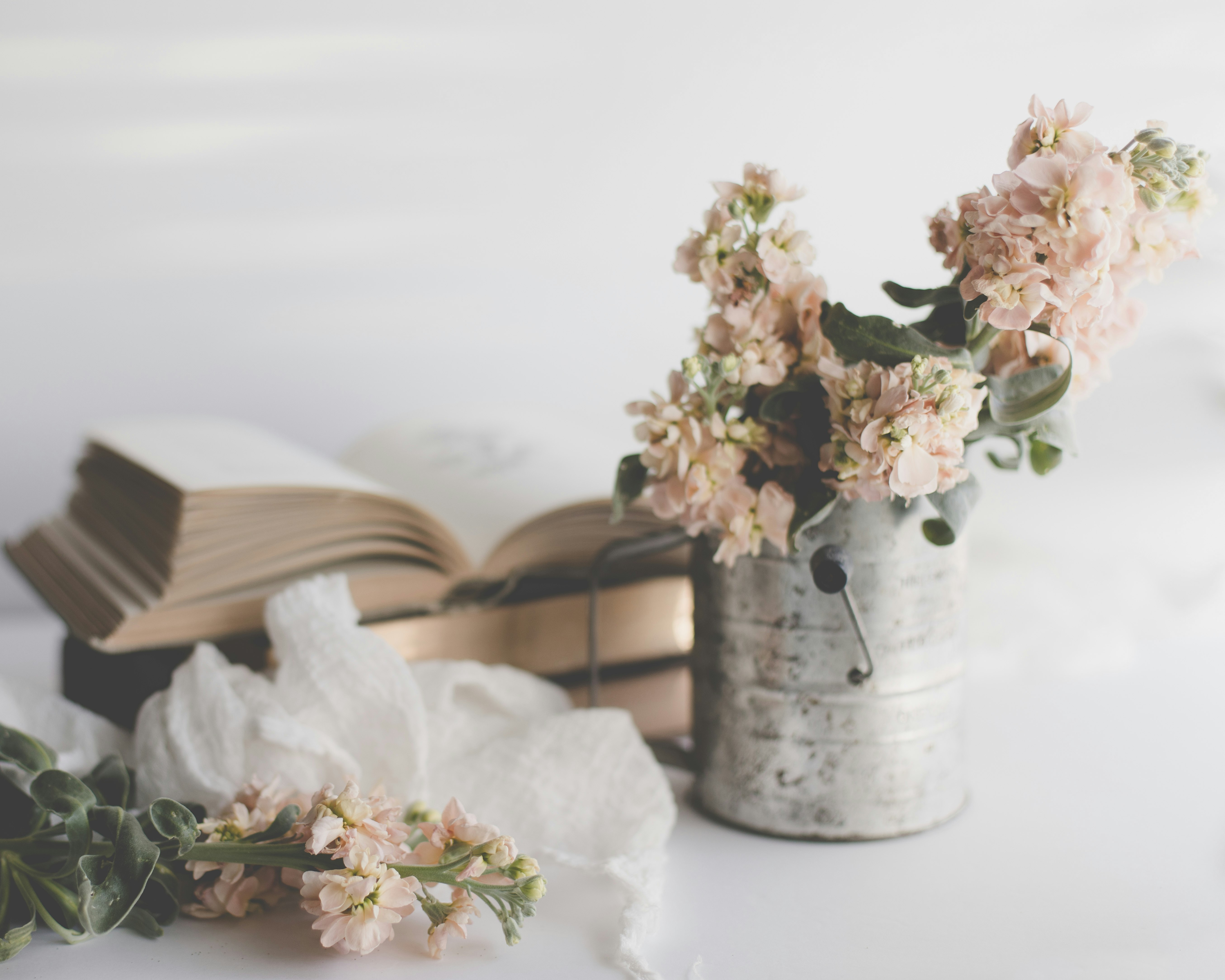 white flowers in white ceramic vase